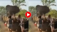 Hathi Ka Video: जंगल सफारी के मजे ले रहे टूरिस्टों पर टूट पड़ा भारी भरकम हाथी, आगे जो हुआ हिल ना जाओ तो कहना- देखें वीडियो