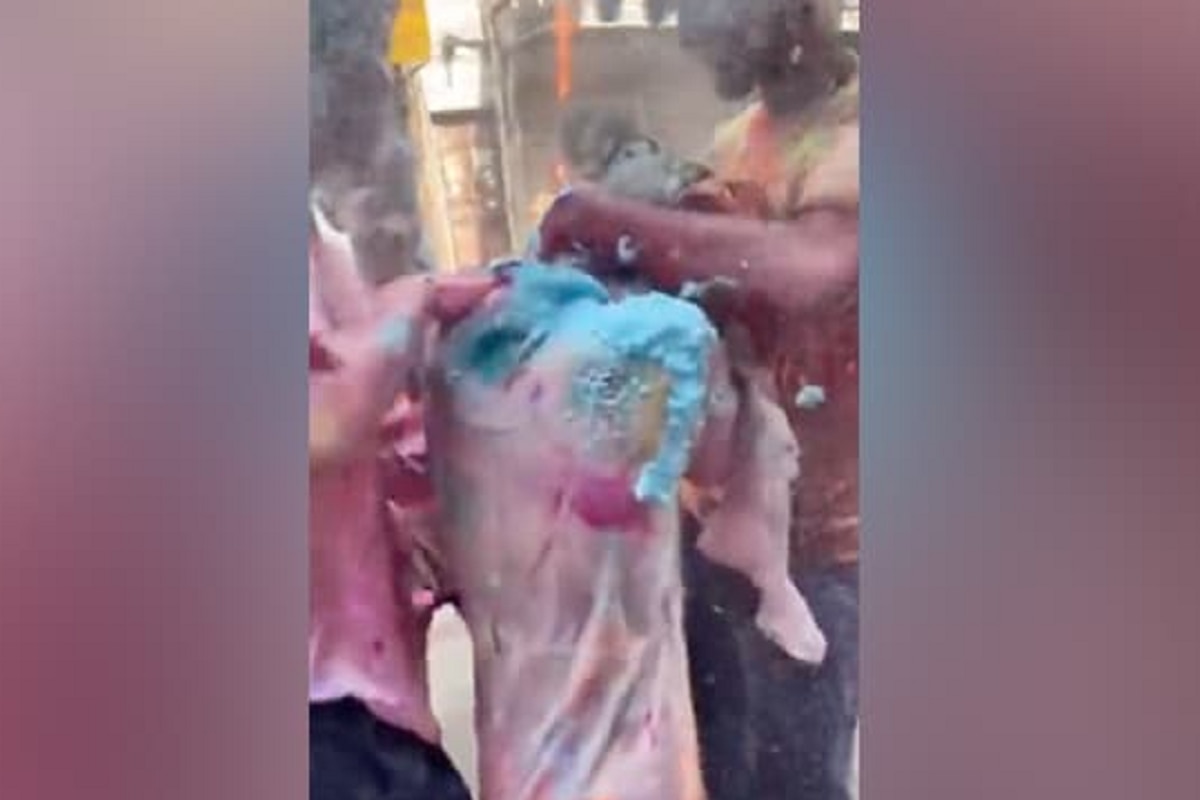 Japanese Woman Harrased During Holi in Delhi; Horrific Video Emerges