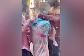 Japanese Woman Harrased During Holi in Delhi; Horrific Video Emerges