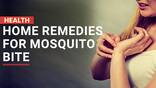 Mosquito Bite Remedies: Easy And Effective Home Remedies For Mosquito Bites - Watch Video