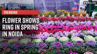 Noida Annual Flower Show: More Than 41 Species Of Exotic And Rare Flowers Are On Display Here