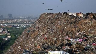 Okhla Landfill To Be Removed By Dec 2023, Bhalswa And Ghazipur By 2024: FM Gahlot In Delhi Budget
