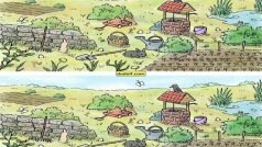 Optical Illusion: सेम टू सेम दिख रही हैं दोनों तस्वीरें मगर छिपे हैं 6 अंतर, तेज दिमाग है तो ढूंढकर दिखा दो