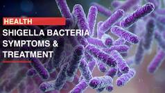 Shigella Bacteria Creates 'Serious Threat' In US, Symptoms, Causes And Treatment, All You Need To Know About It - Watch Video