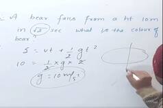 Physics Teacher Uses Equation To Find Colour Of Falling Bear