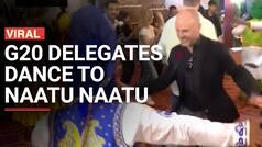 Viral Video: G20 Delegates Dance On The Beats Of Oscar Winning Naatu Naatu, Netizens Are Thrilled - Watch Video