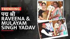Padma Shri Award: पद्मश्री से सम्मानित हुई Raveena Tandon, अवॉर्ड लेने से पहले पीएम मोदी को किया नमस्कार | Watch Video