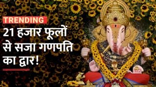 Pune Dagdusheth Halwai Ganpati: 21 हजार फूलों से सजा गणपति मंदिर, खूबसूरती देखकर दंग रह जाएंगे आप | Watch Video