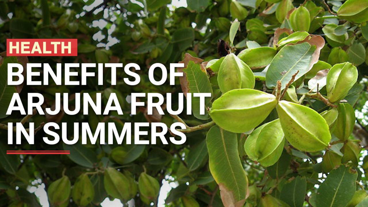 Benefits Of Arjun Fruit: Oral Health To Glowing Skin, Here's Why You Should Eat This Nutritous Fruit In Summers | Watch Video