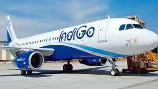 International Flights: IndiGo Begins New Flights to Abu Dhabi From These Indian Cities | Check Full Schedule