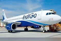 IndiGo Announces Direct Flights From Delhi to Baku From Aug 11 | Check Full Schedule
