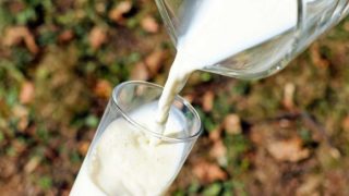 Milk Prices to Remain Firm this Summer, Says RBI Governor Shaktikanta Das