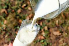 Milk Prices to Remain Firm this Summer, Says RBI Governor Shaktikanta Das