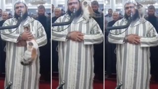 Ramadan Prayer: Cat Jumps On Imam During Namaz, This Is How He Reacts: Watch