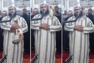 Ramadan Prayer: Cat Jumps On Imam During Namaz, This Is How He Reacts: Watch