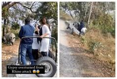 Mother Rhinoceros Attacks Safari Vehicle, Turns It Over To Protect Her Baby: Watch