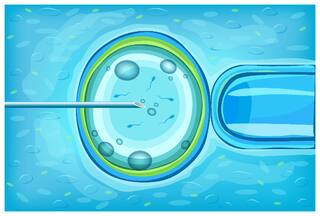 Man Fathers 550 Children Via Sperm Donation, Courts Asks Him To Stop