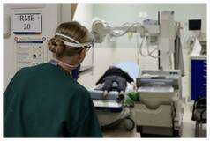 USA Reports Over 19,000 Deaths From Flu This Season