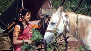 'चल धन्नो... तेरी बसंती की इज्जत का सवाल है', कहां गई 'शोले' में हेमा मालिनी की वो प्यारी घोड़ी?