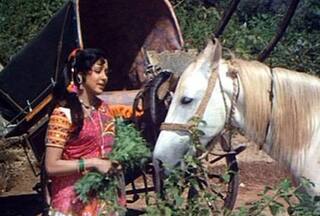 'चल धन्नो... तेरी बसंती की इज्जत का सवाल है', कहां गई 'शोले' में हेमा मालिनी की वो प्यारी घोड़ी?