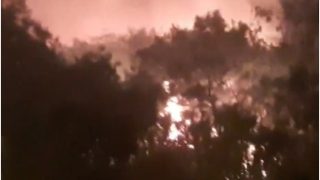 Delhi News: वजीराबाद के बायोडायवर्सिटी पार्क में लगी भीषण आग | VIDEO