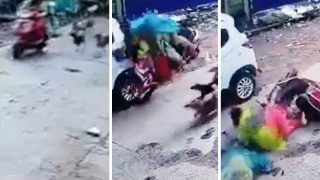 Viral Video Today: स्कूटी सवार महिलाओं पर कुत्तों ने कर दिया अटैक, बचने के चक्कर में तगड़ा एक्सीडेंट करा लिया