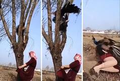 Morni Ka Video: मोरनी के अंडों को चुराने की गलती कर गई लड़की, ऐसी सजा मिली आंखें फटी रह जाएंगी- देखें वीडियो