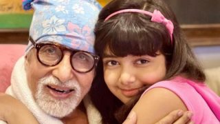 Amitabh Bachchan's Granddaughter Aaradhya Moves Delhi HC Over Fake Reporting on Her Health