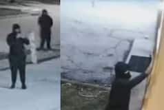 Temple Vandalised With 'Hate-Motivated Graffiti' In Canada's Windsor; 5th Incident So Far