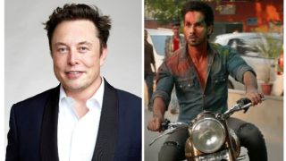 Shahid Kapoor Turns Kabir Singh After Losing His Twitter Blue Tick: 'Elon, Tu Ruk'