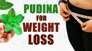 Mint Leaf Benefits: Reasons Why You Should Consume Pudina In Summers | Watch Video