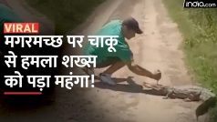 Viral Video: मगरमच्छ को चाकू से मारना शख्स को पड़ गया महंगा, वीडियो में देखें कैसे सिखाया सबक | Watch Video