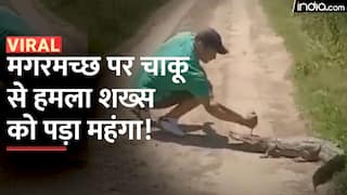 Viral Video: मगरमच्छ को चाकू से मारना शख्स को पड़ गया महंगा, वीडियो में देखें कैसे सिखाया सबक | Watch Video