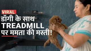 Mamta Banerjee Video: कुत्ते के बच्चे के साथ ट्रेडमिल पर चलती दिखी ममता बनर्जी, फिटनेस टिप्स भी किया शेयर | Watch Video