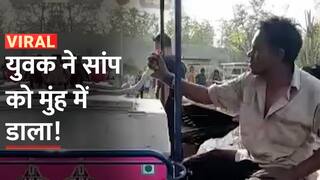 Shocking! जिंदा सांप को युवक ने मुंह में डालकर चबाया, रोंगटे खड़े कर देगा वीडियो - Watch Video