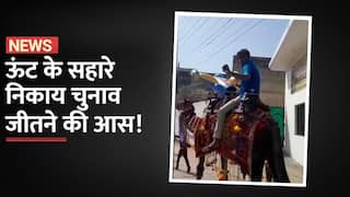 UP Civic Poll: ऊंट के सहारे निकाय चुनाव जीतने की कोशिश, प्रत्याशी ने प्रचार में किया इस्तेमाल | Watch Video