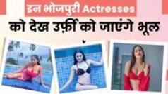 Bhojpuri: नम्रता मल्ला से लेकर केट शर्मा तक, इन भोजपुरी एक्ट्रेसेस को देख आप उर्फ़ी जावेद को भूल जाएंगे