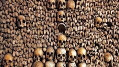 60 लाख इंसानी कंकालों से बनी है ये सुंरग, 320 किमी है लंबी, तस्वीरों में पढ़िए कहानी