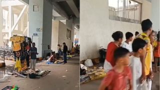 IPL 2023 Final: 'Yellow Fever' Hits Ahmedabad Ahead of CSK vs GT Match | Watch Video
