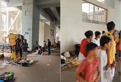 IPL 2023 Final: 'Yellow Fever' Hits Ahmedabad Ahead of CSK vs GT Match | Watch Video