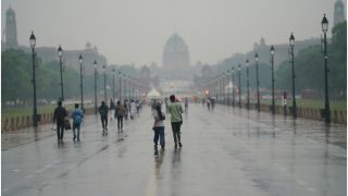 Delhi Wakes Up To Light Rain And Thunderstorm; IMD Predicts Rainfall In UP And Rajasthan Today
