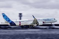 Drunk Passenger Molests Air Hostess On Dubai-Amritsar Flight, Arrested in Punjab | Here's What Happened