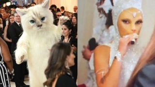 Met Gala 2023 Memes And a Catty Affair! Jared Leto-Doja Cat Send Twitter Into Hilarious Meltdown With Dramatic Looks