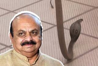 Karnataka Viral Video: जहां मौजूद थे CM बोम्मई, उसी भाजपा ऑफिस में निकल आया किंग कोबरा - देखिए वीडियो