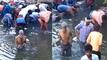 People Jump Into Drain In Bihar To Collect Rolls Of Currency Notes: Watch