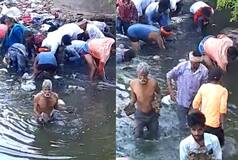 People Jump Into Drain In Bihar To Collect Rolls Of Currency Notes: Watch