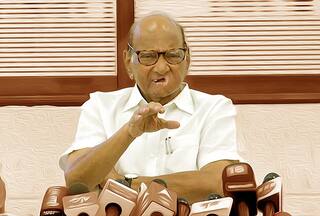 उद्धव ठाकरे की पार्टी का दावा- शरद पवार अपना उत्तराधिकारी बनाने में असफल रहे हैं