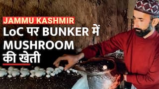 Uri में Loc के पास Bunker में हो रही Mushroom की खेती | Jammu Kashmir | Watch