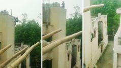 Chor Ka Video: चोर है या स्पाइडर मैन! ऊंची बिल्डिंग पर सेकेंडों में चढ़ गया चोर, मगर जो हुआ यकीन नहीं होगा- देखें वीडियो