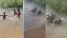 Hippo Ka Video: नदी में नहा रहे बच्चों पर टूट पड़ा हिप्पो, एक को तो दबोच ही लिया- देखें वीडियो